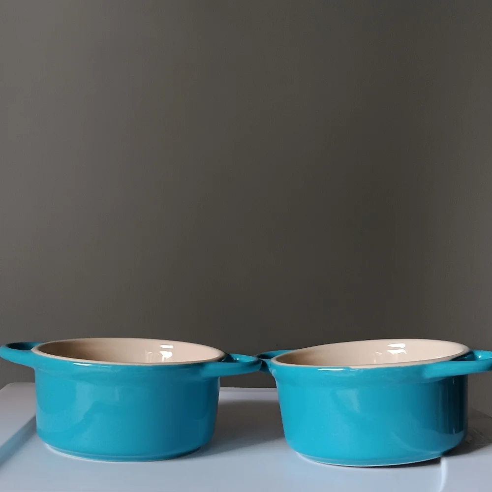 Pair of Ceramic Bowls with Lids & Handles Aqua Blue White 4.5